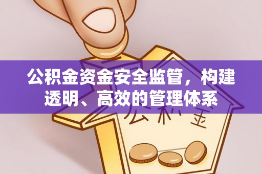 焉耆公积金资金安全监管，构建透明、高效的管理体系