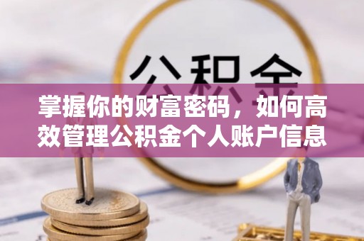 焉耆掌握你的财富密码，如何高效管理公积金个人账户信息