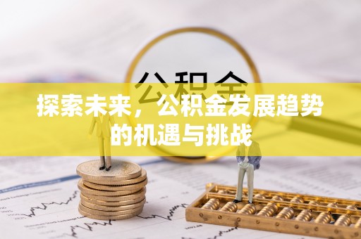焉耆探索未来，公积金发展趋势的机遇与挑战