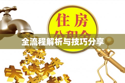 焉耆全流程解析与技巧分享